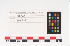 Etikett zu Bronzegürtelblech (NHMW-PRAE-034825)